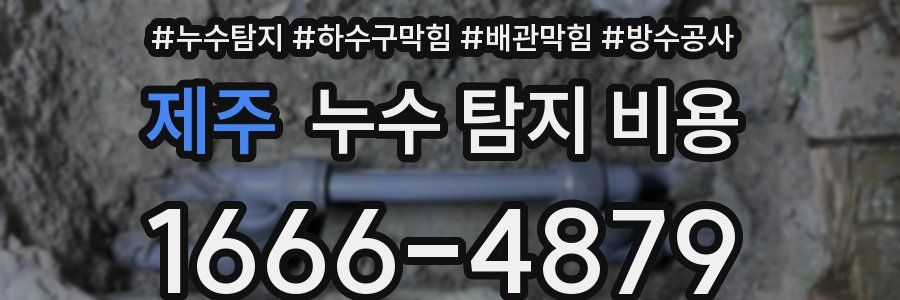 제주 누수 탐지 비용