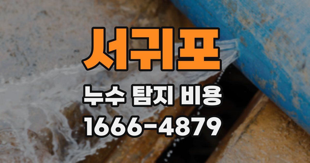 서귀포 누수 탐지 비용