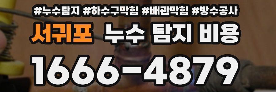 서귀포 누수 탐지 비용