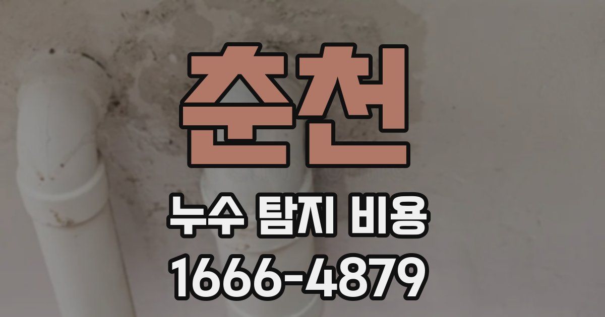 춘천 누수 탐지 비용