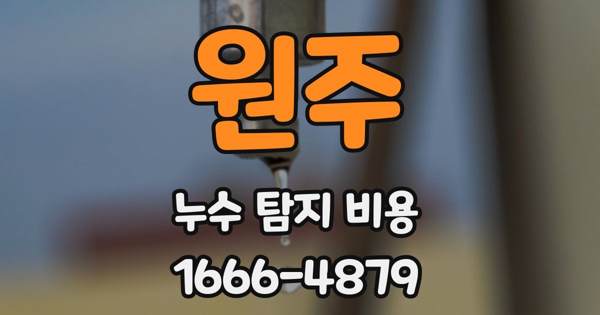 원주 누수 탐지 비용