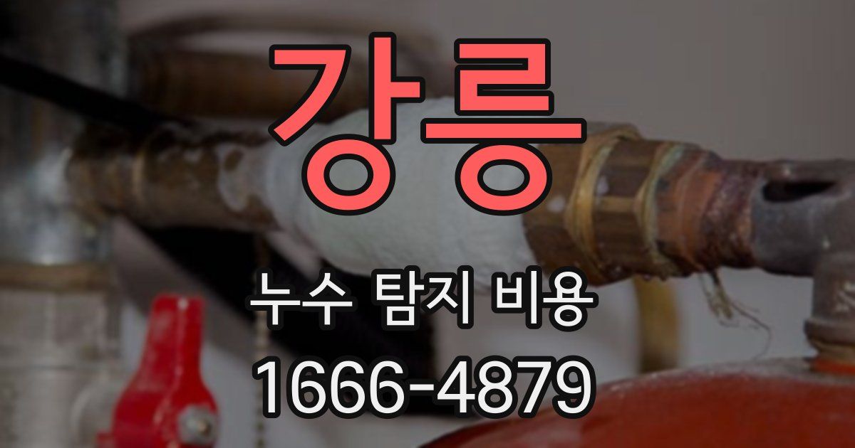 강릉 누수 탐지 비용