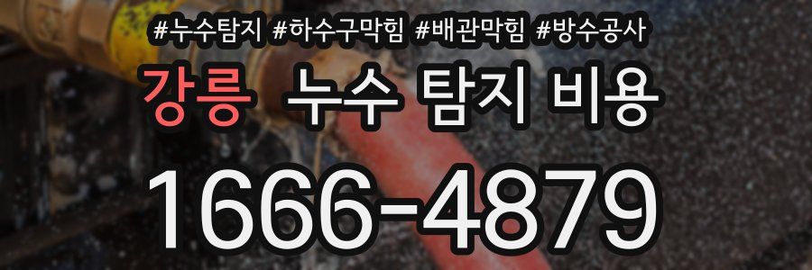 강릉 누수 탐지 비용