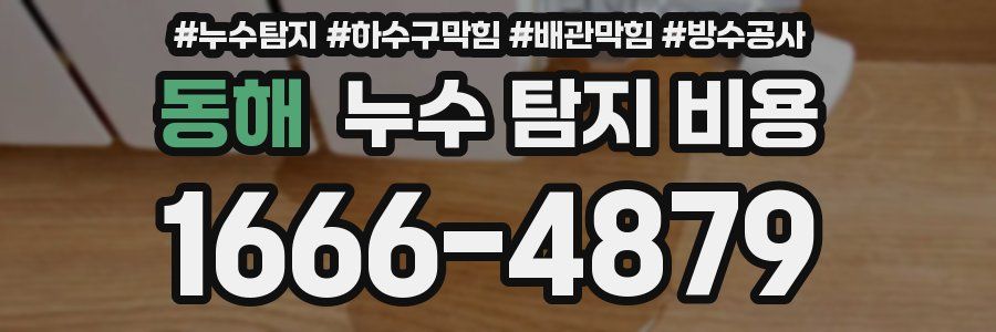 동해 누수 탐지 비용