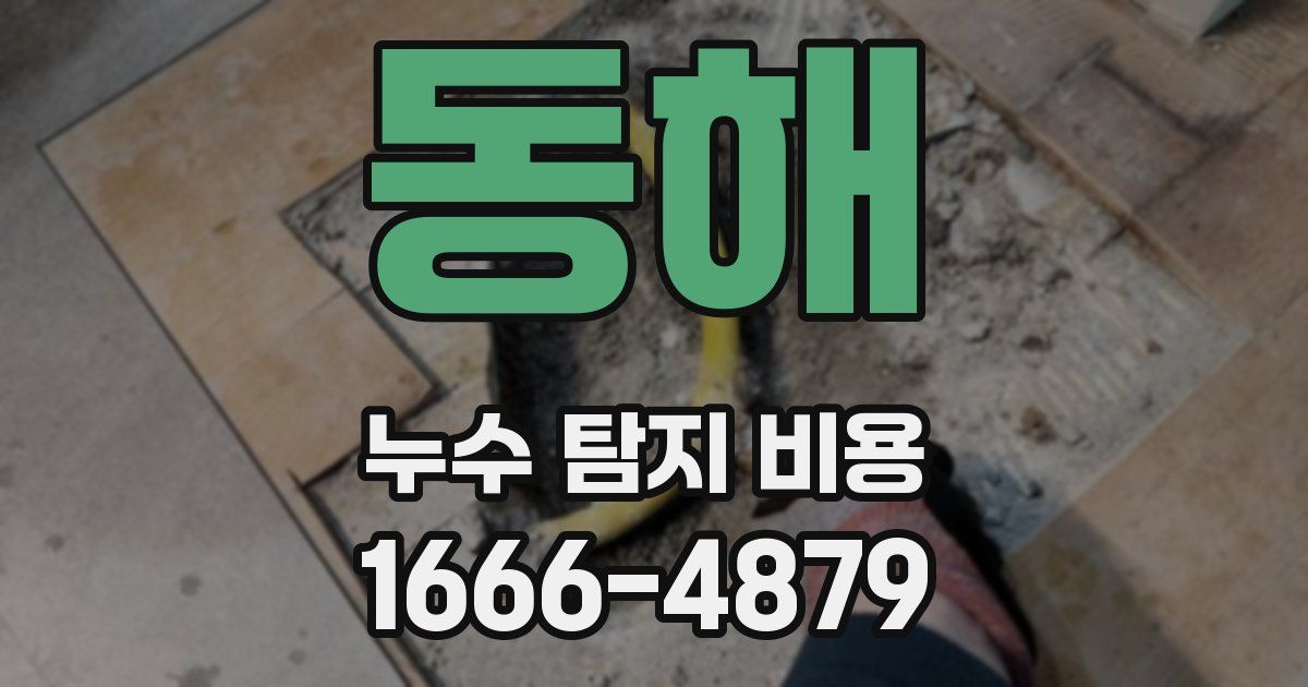 동해 누수 탐지 비용