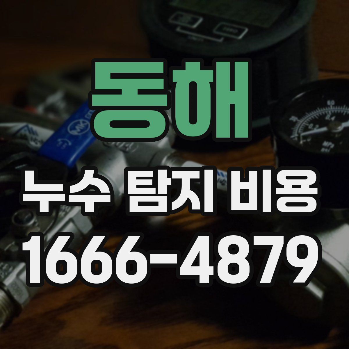 동해 누수 탐지 비용