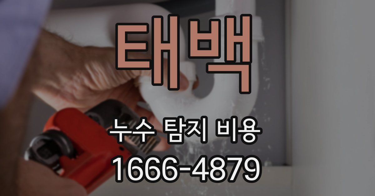 태백 누수 탐지 비용