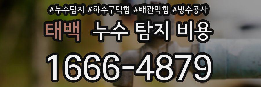 태백 누수 탐지 비용