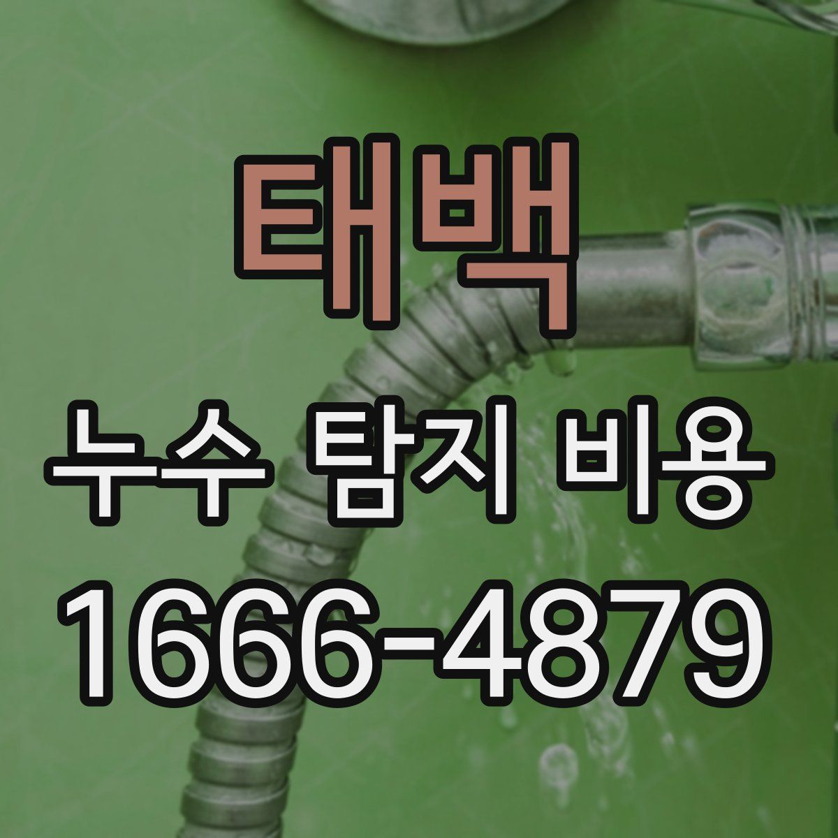 태백 누수 탐지 비용