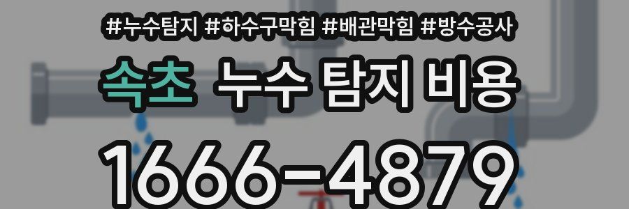 속초 누수 탐지 비용