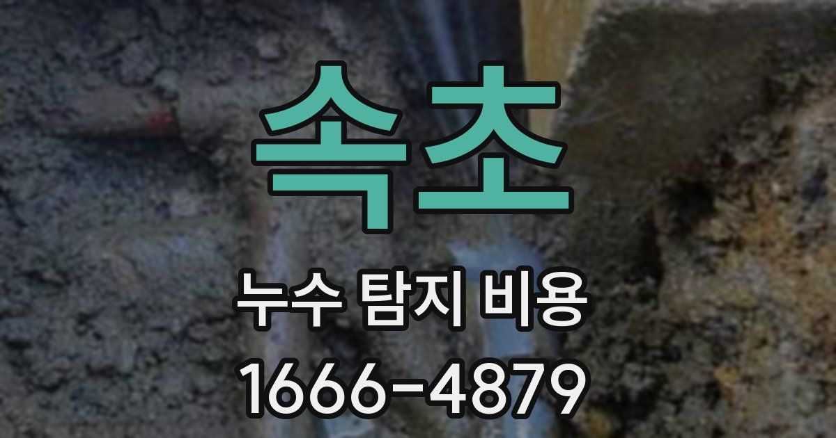 속초 누수 탐지 비용