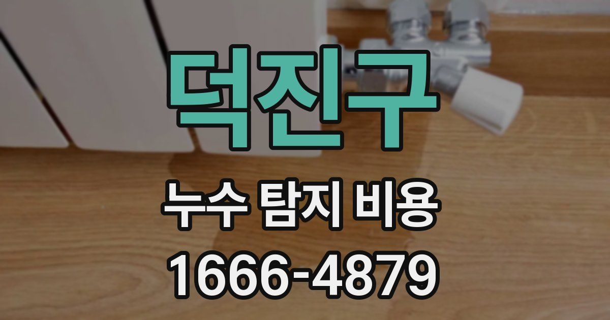 덕진구 누수 탐지 비용