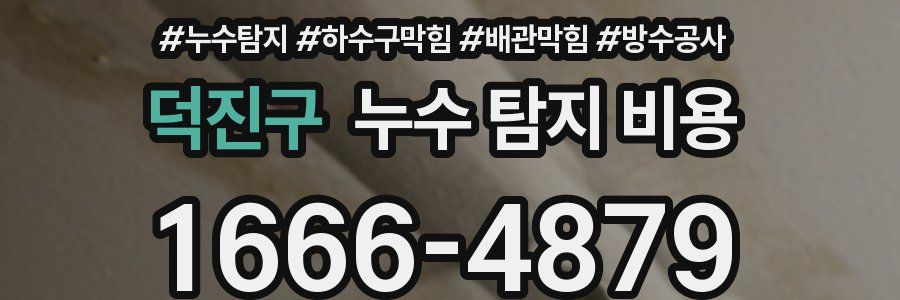 덕진구 누수 탐지 비용