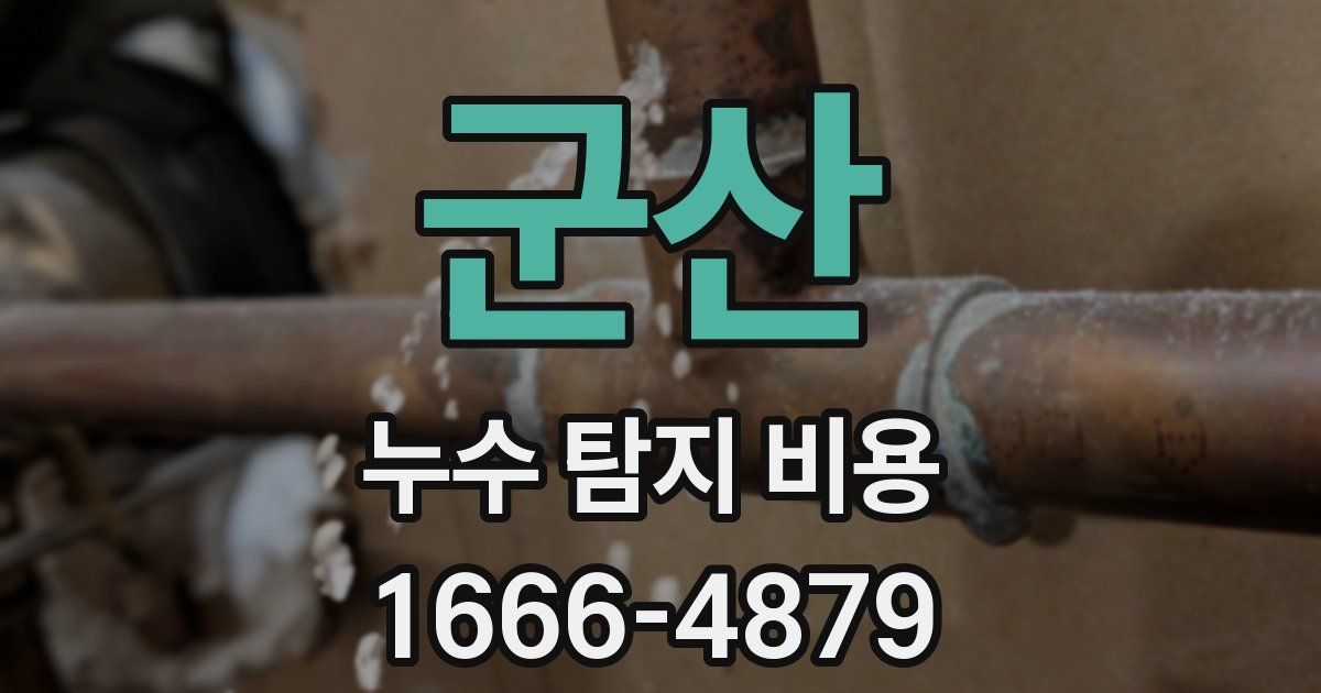 군산 누수 탐지 비용