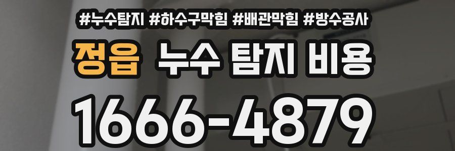 정읍 누수 탐지 비용