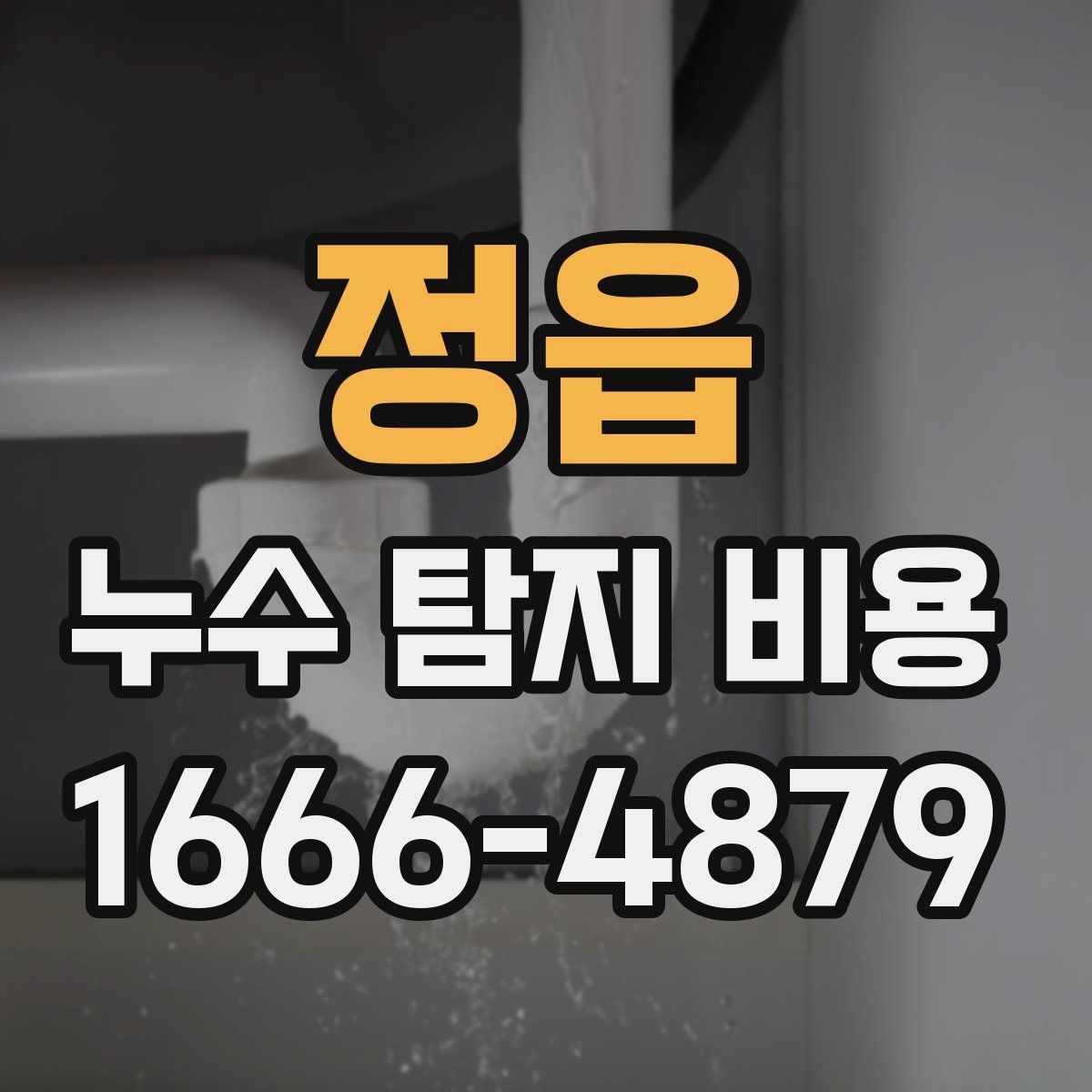 정읍 누수 탐지 비용