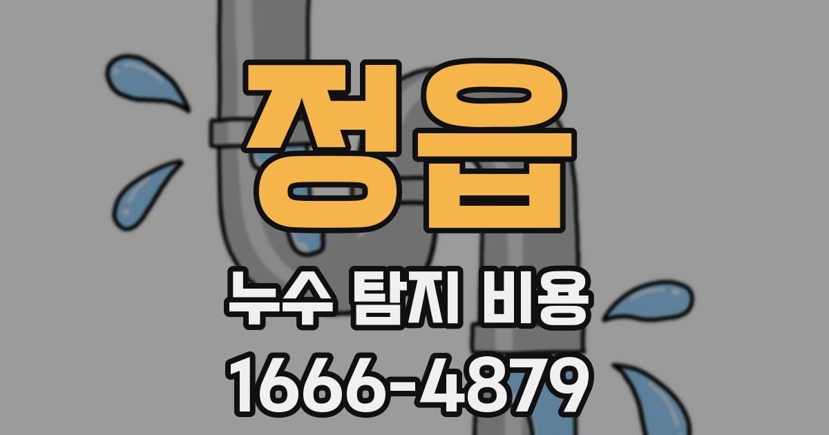 정읍 누수 탐지 비용