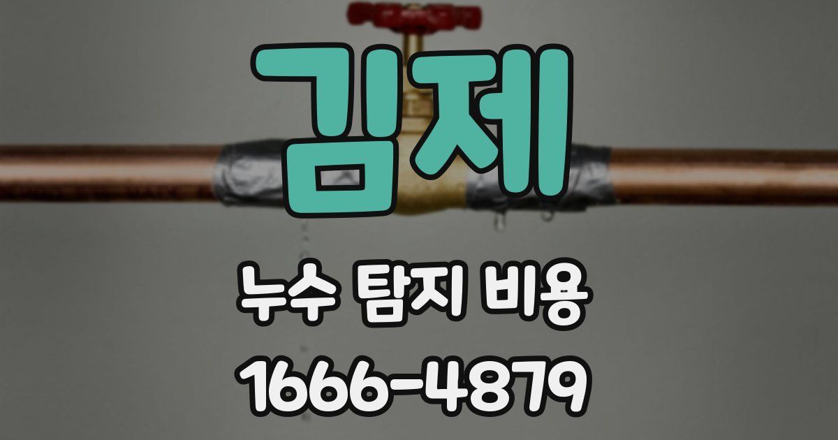 김제 누수 탐지 비용