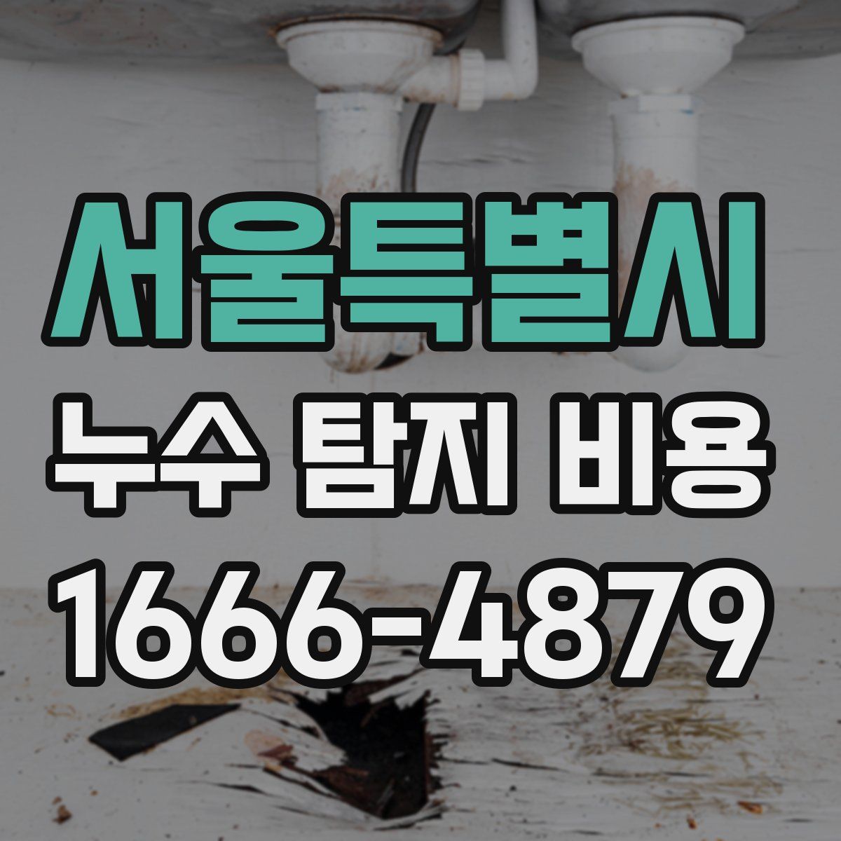 서울특별시 누수 탐지 비용