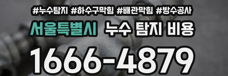 서울특별시 누수 탐지 비용