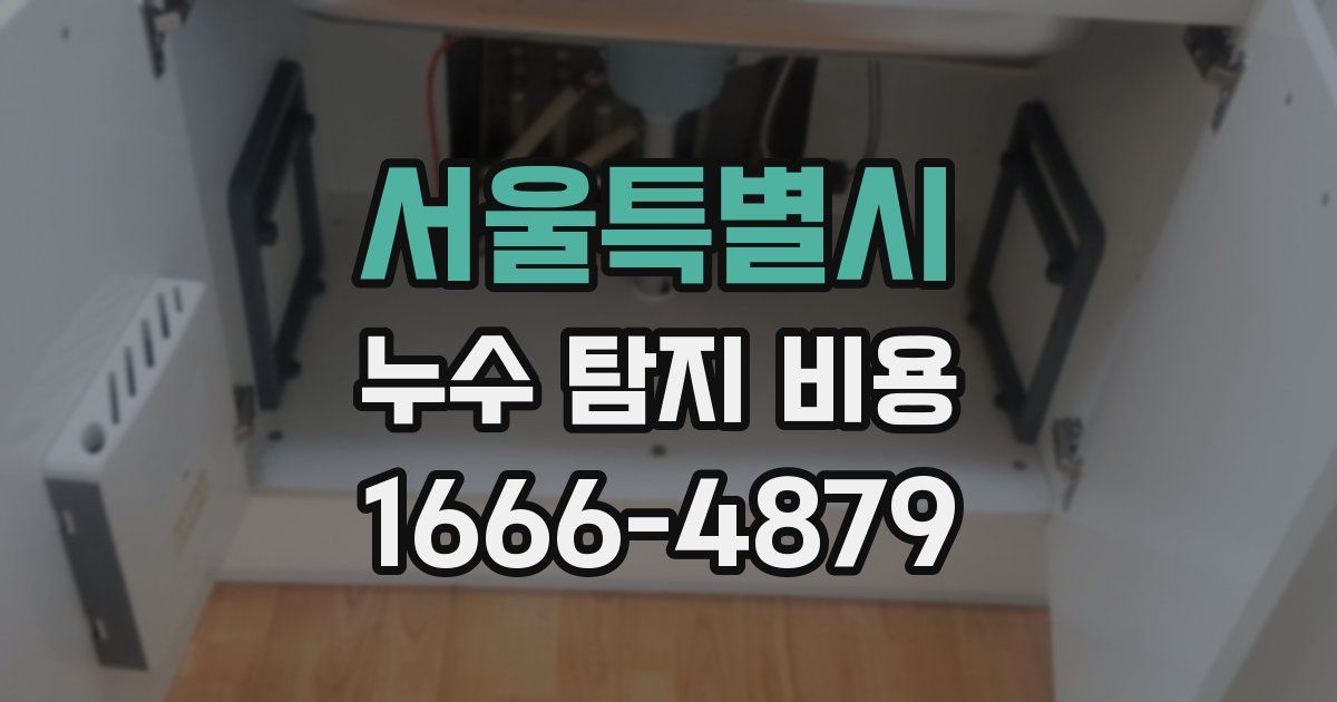 서울특별시 누수 탐지 비용
