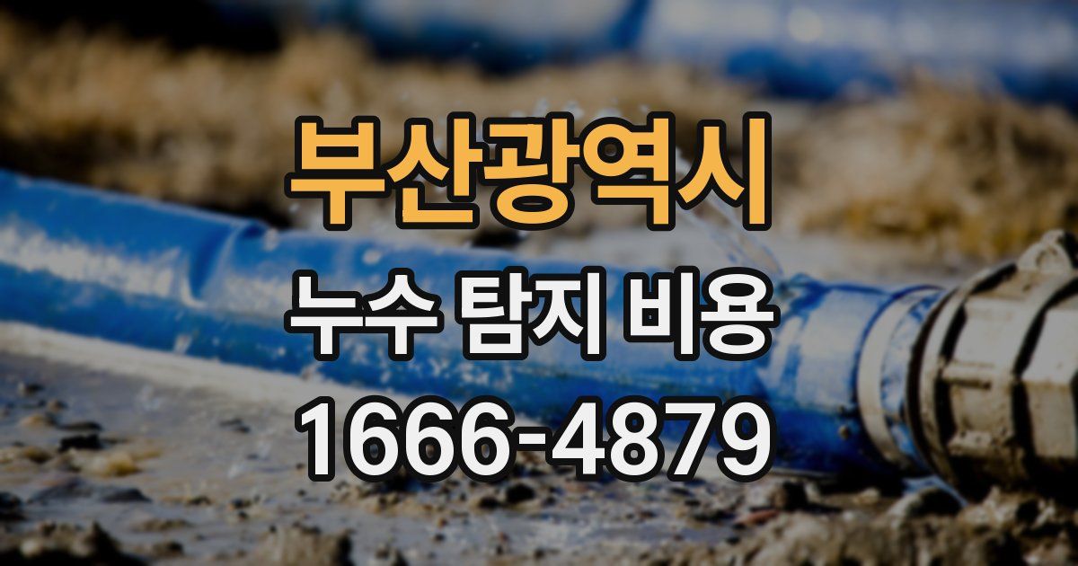 부산광역시 누수 탐지 비용