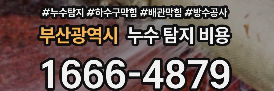 부산광역시 누수 탐지 비용