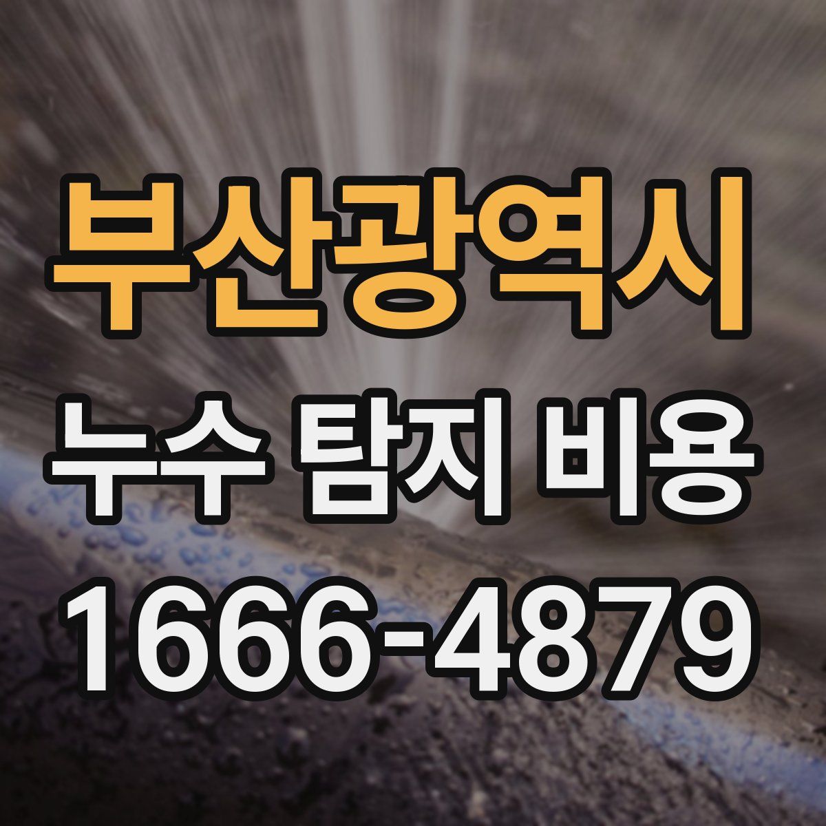 부산광역시 누수 탐지 비용
