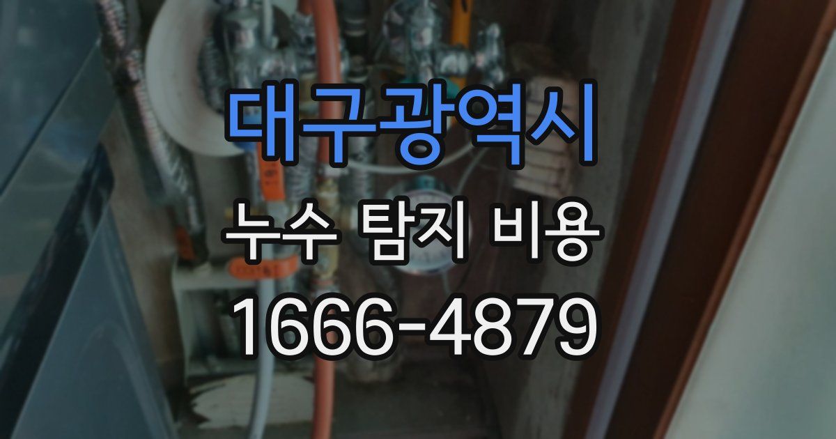 대구광역시 누수 탐지 비용