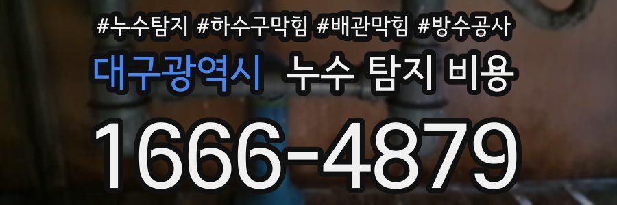대구광역시 누수 탐지 비용