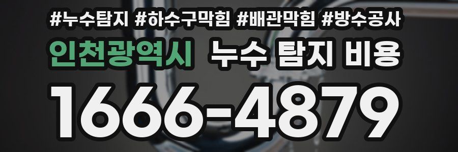 인천광역시 누수 탐지 비용