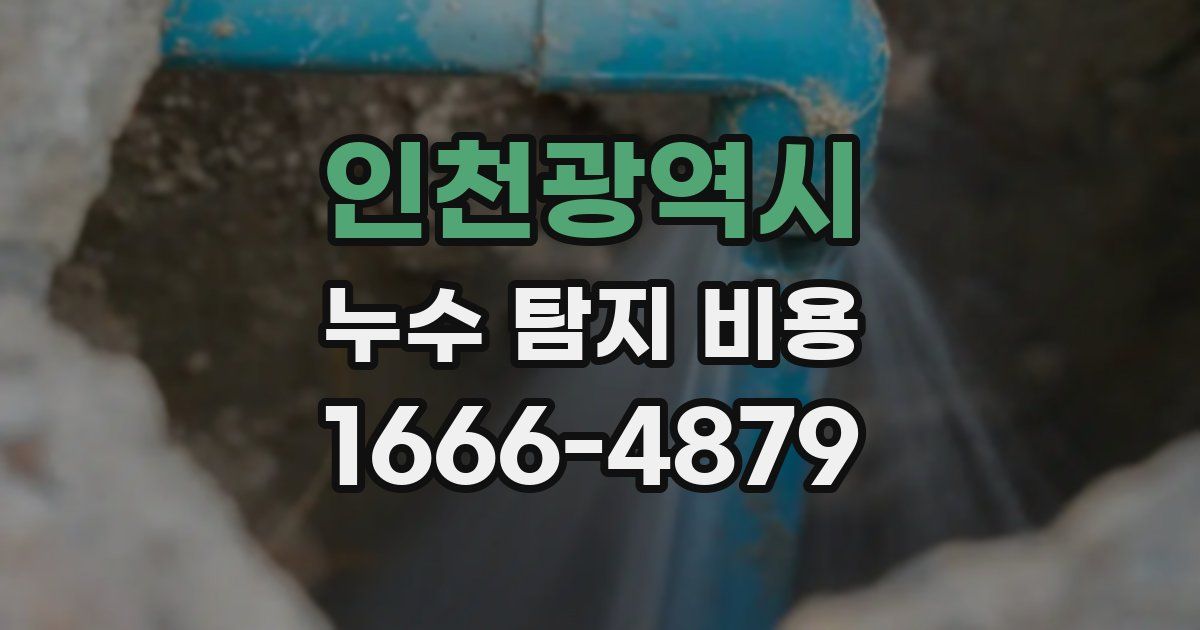 인천광역시 누수 탐지 비용