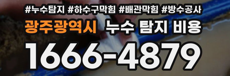 광주광역시 누수 탐지 비용