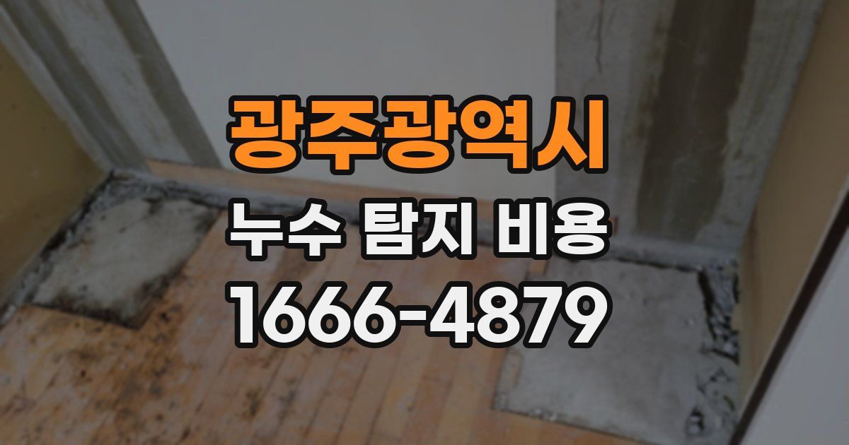 광주광역시 누수 탐지 비용