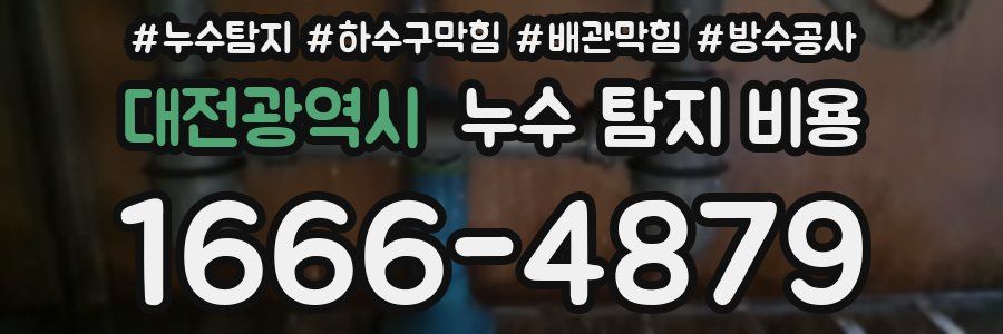 대전광역시 누수 탐지 비용