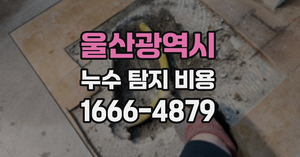 울산광역시 누수 탐지 비용