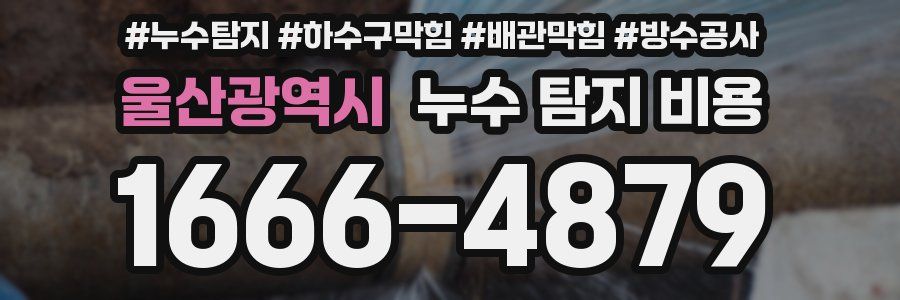 울산광역시 누수 탐지 비용