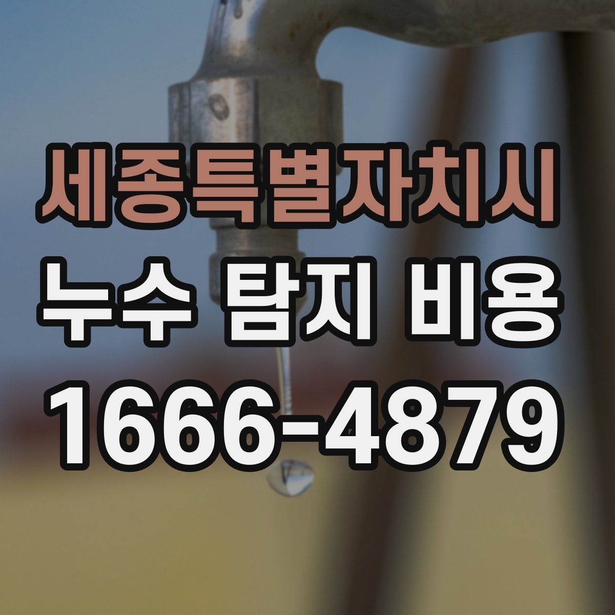 세종특별자치시 누수 탐지 비용
