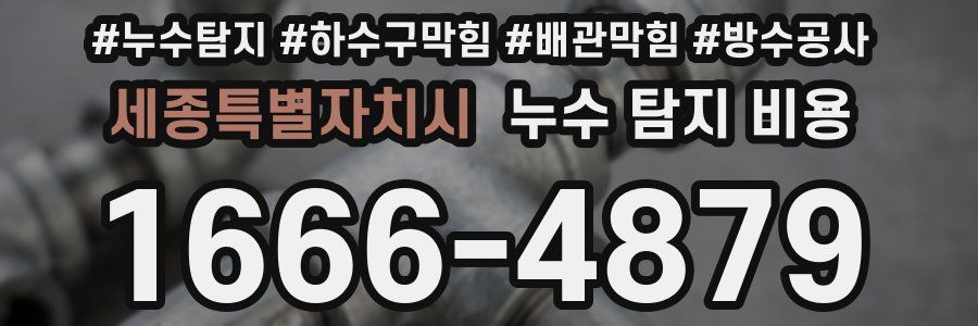세종특별자치시 누수 탐지 비용