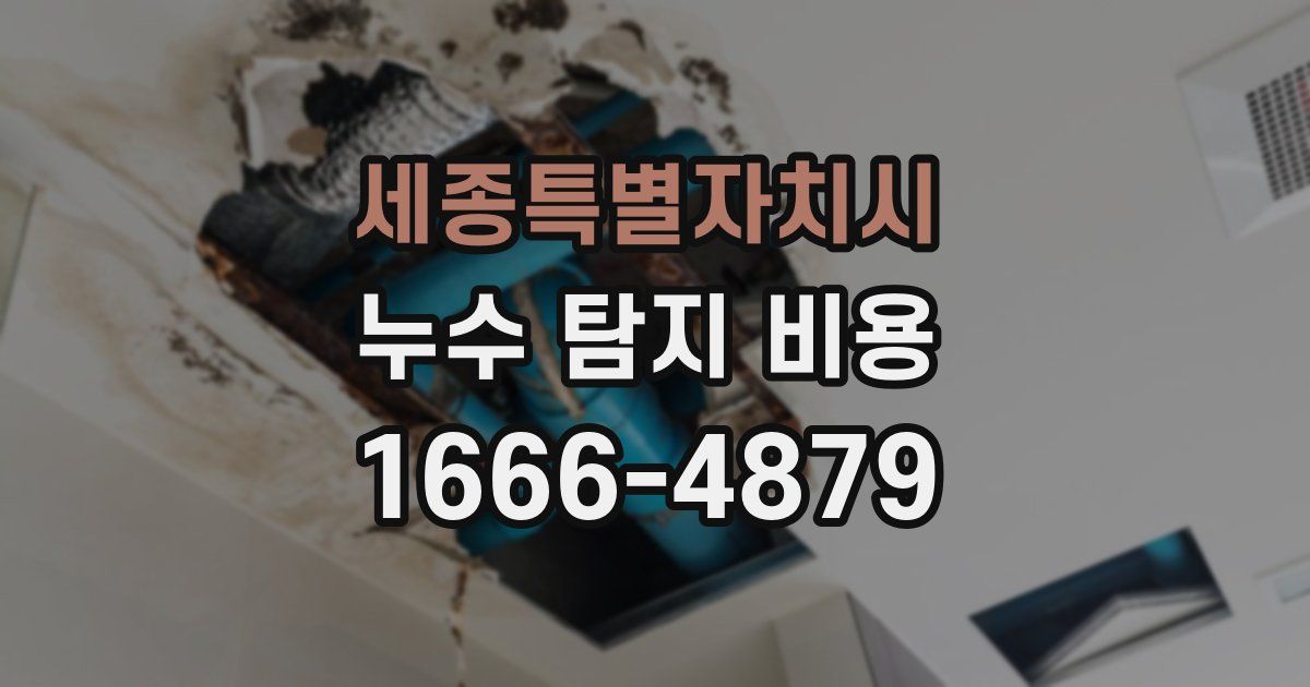 세종특별자치시 누수 탐지 비용
