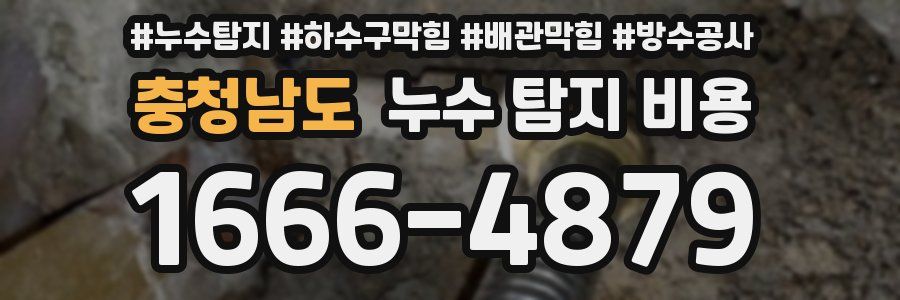 충청남도 누수 탐지 비용
