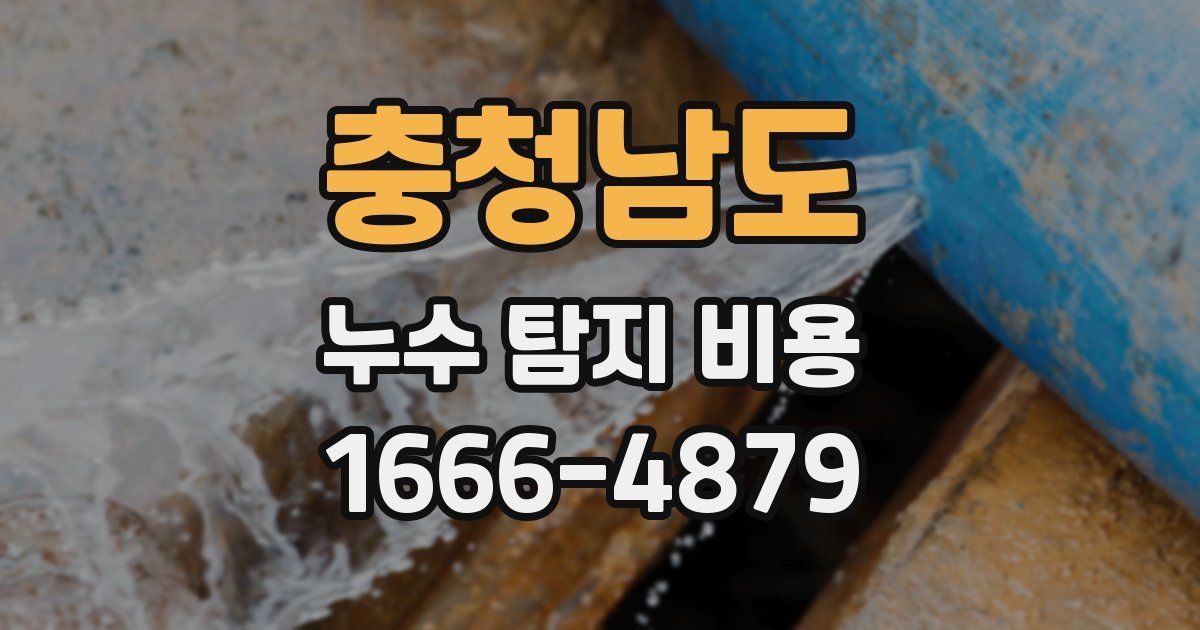 충청남도 누수 탐지 비용
