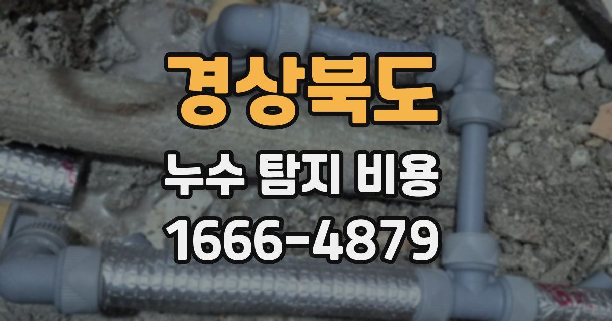 경상북도 누수 탐지 비용