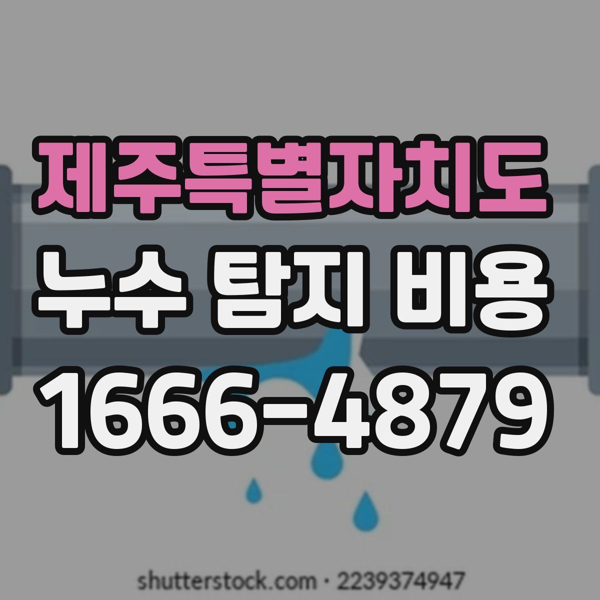 제주특별자치도 누수 탐지 비용