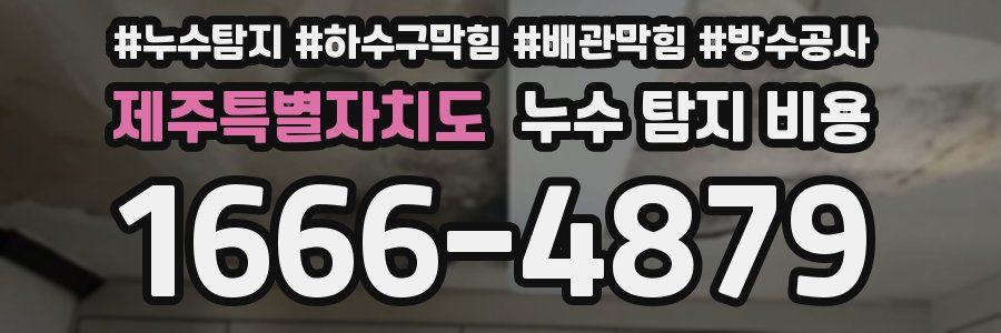 제주특별자치도 누수 탐지 비용