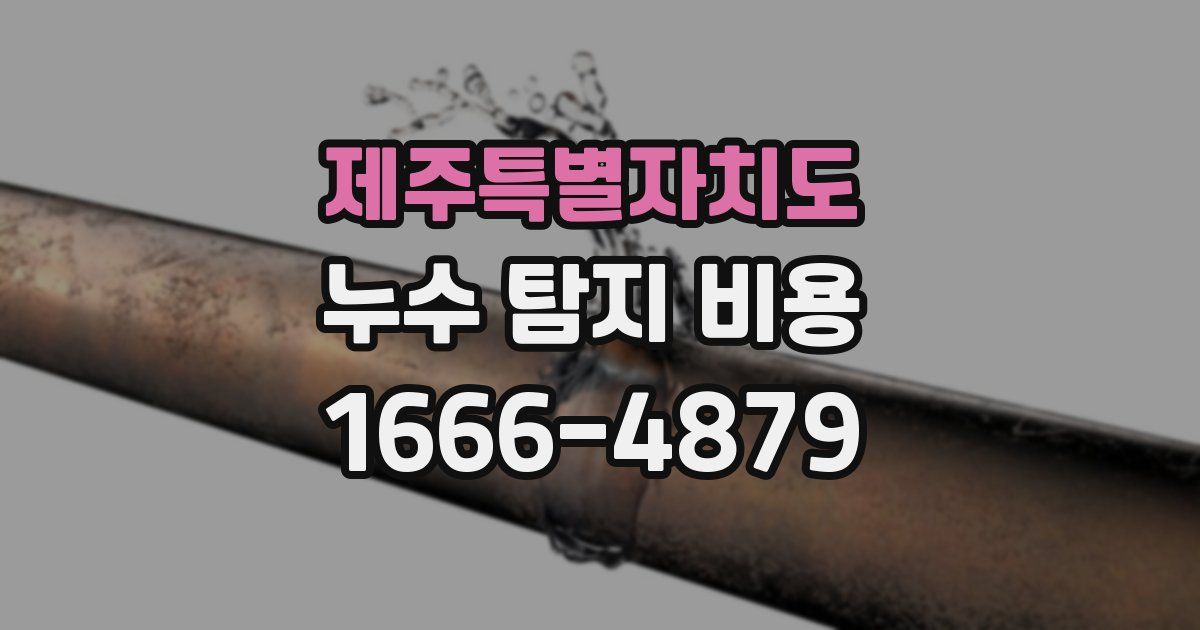 제주특별자치도 누수 탐지 비용