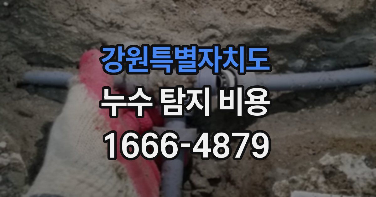 강원특별자치도 누수 탐지 비용
