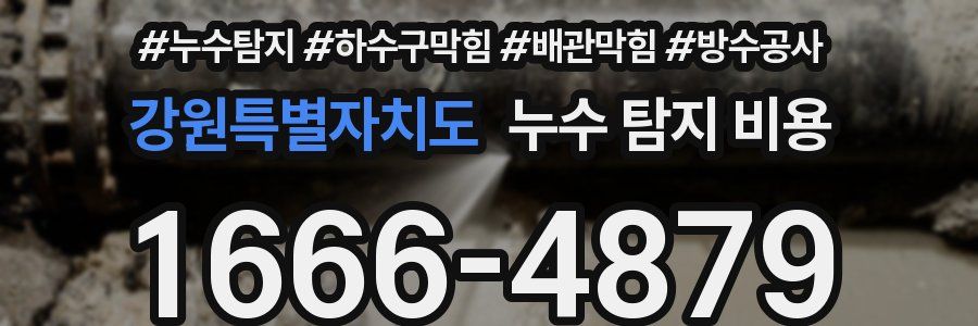 강원특별자치도 누수 탐지 비용