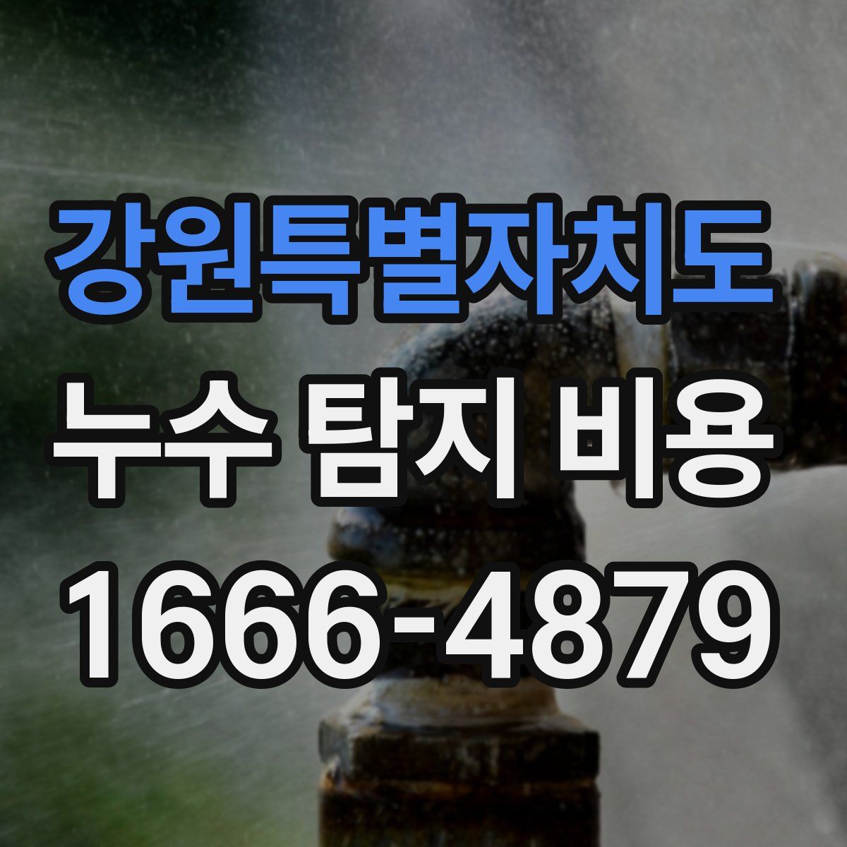 강원특별자치도 누수 탐지 비용