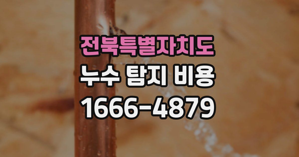 전북특별자치도 누수 탐지 비용
